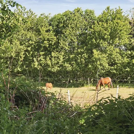 Nyaraló Lystrup Gamle Skole *
